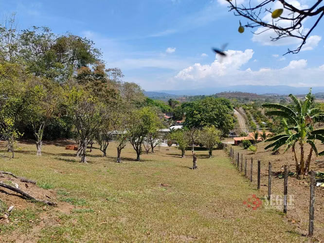 Lote en venta, Atenas, Los Ángeles. - Imagen 8