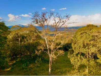 Preciosa propiedad con hermosas vistas en Ciudad Colon. ID 39701 - Imagen 5
