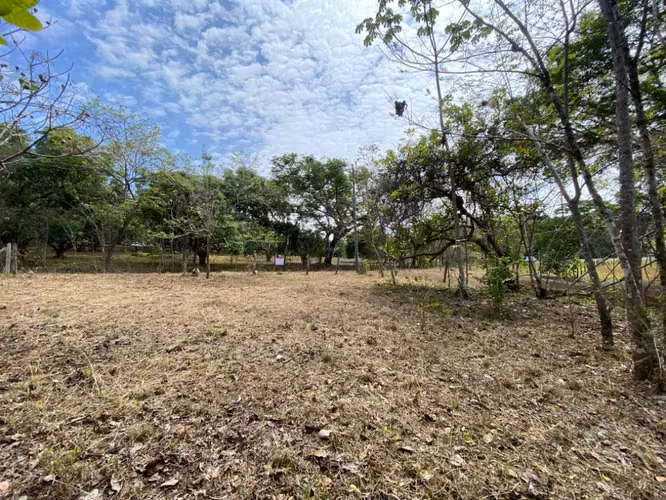 Land for Sale in Orotina