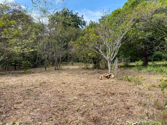 Terreno en venta Orotina - Imagen 5