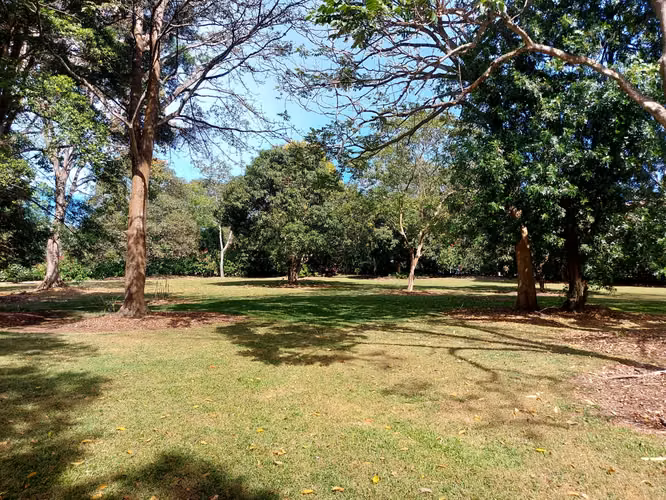 Lote en venta en Naranjo, plano 5000 m² en comunidad cerrada - Imagen 3