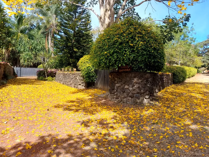 Lote en venta en Naranjo, plano 5000 m² en comunidad cerrada - Imagen 4