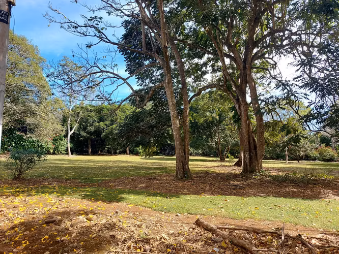 Lote en venta en Naranjo, plano 5000 m² en comunidad cerrada - Imagen 6