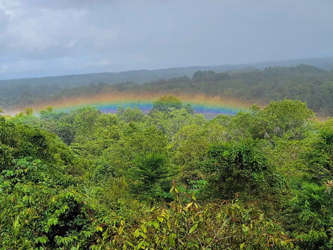 Casa en venta en Sierpe, Osa, Casa Jungla