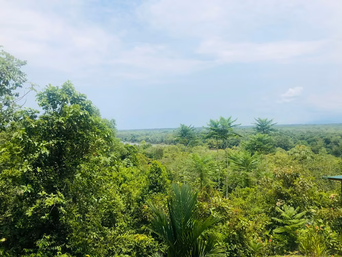 Casa en venta en Sierpe, Osa, Casa Jungla