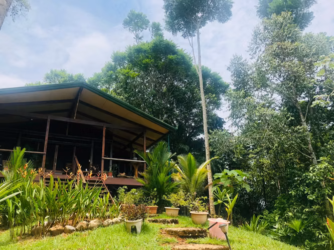 Casa en venta en Sierpe, Osa, Casa Jungla