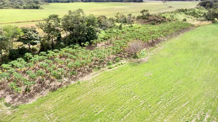 Venta finca Guanacaste Bagaces 85 HECT TERMALES  - Imagen 6