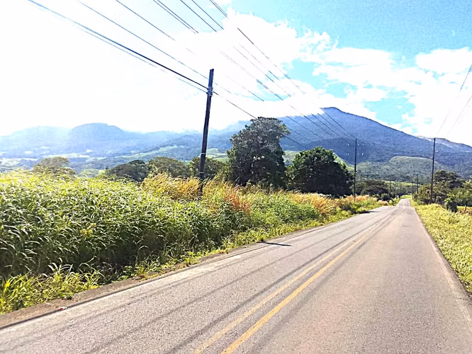 Venta finca Guanacaste Bagaces 85 HECT TERMALES  - Imagen 21