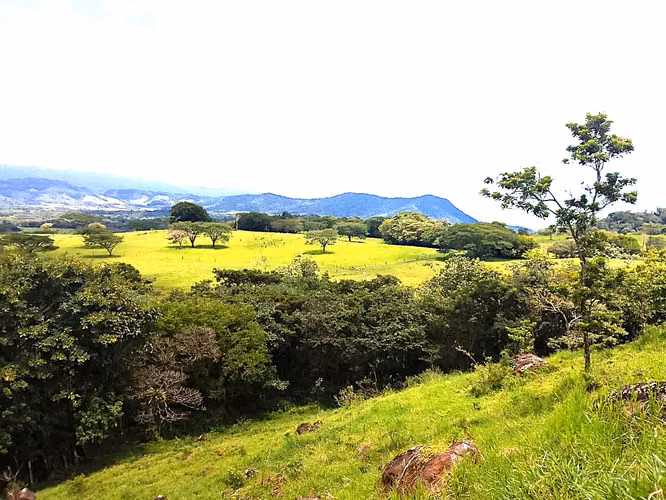 Venta finca Guanacaste Bagaces 85 HECT TERMALES  - Imagen 7