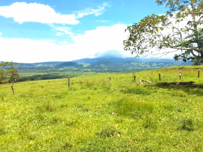 Venta finca Guanacaste Bagaces 85 HECT TERMALES  - Imagen 3