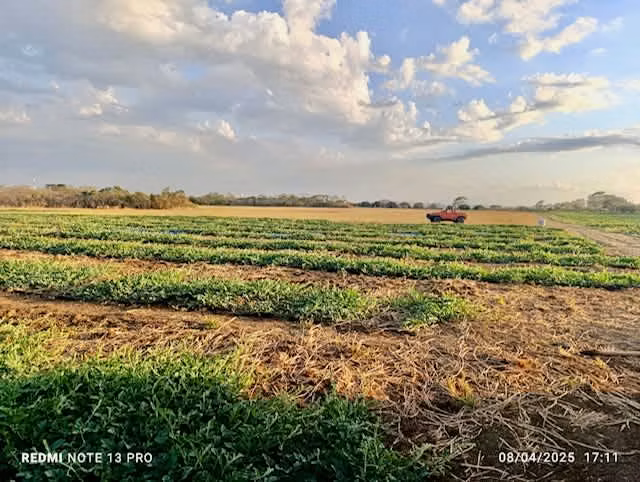Venta finca Guanacaste Bagaces 85 HECT TERMALES  - Imagen 18