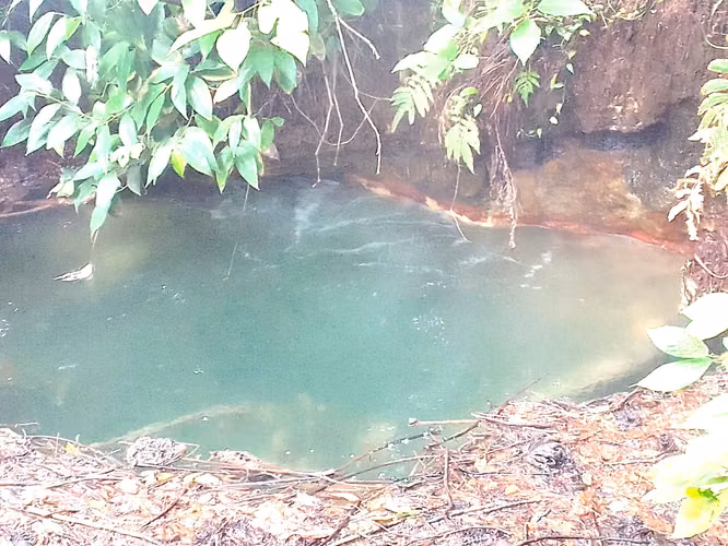 Venta finca Guanacaste Bagaces 85 HECT TERMALES  - Imagen 13
