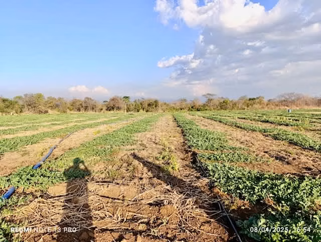 Venta finca Guanacaste Bagaces 85 HECT TERMALES  - Imagen 34