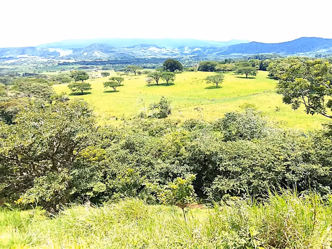 Venta finca Guanacaste Bagaces 85 HECT TERMALES  - Imagen 29