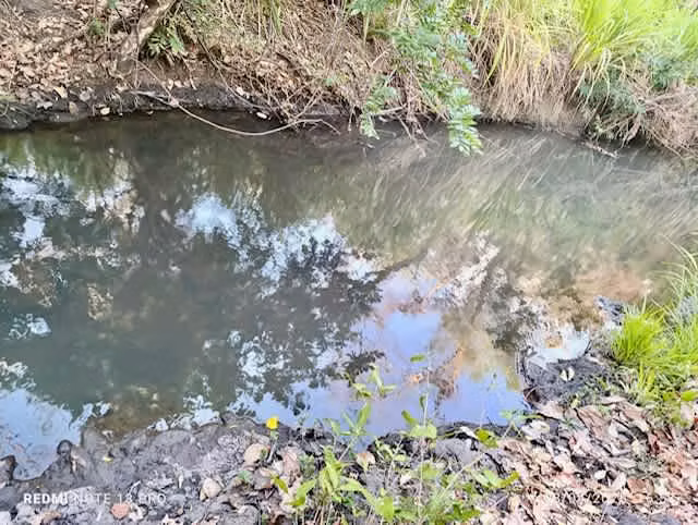 Venta finca Guanacaste Bagaces 85 HECT TERMALES  - Imagen 22