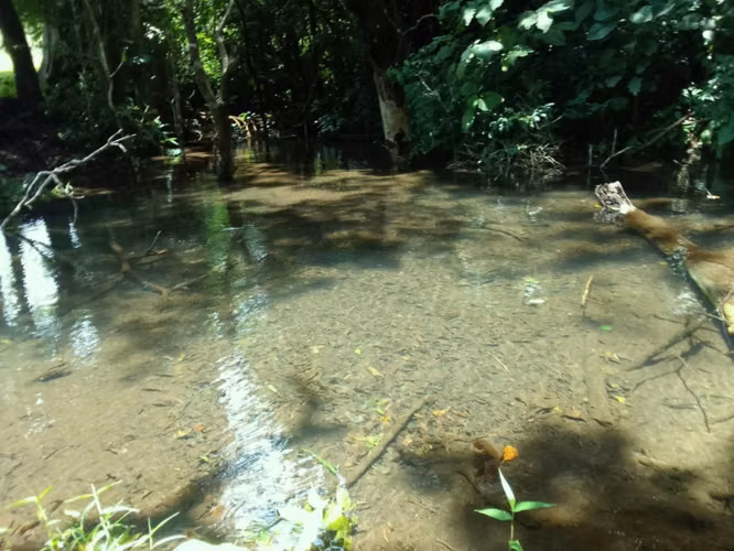 Venta finca Guanacaste Bagaces 85 HECT TERMALES  - Imagen 11