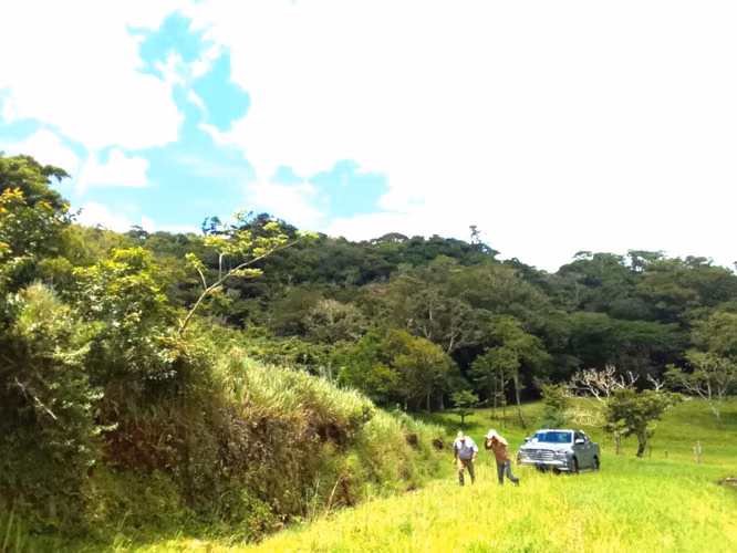 Venta finca Guanacaste Bagaces 85 HECT TERMALES  - Imagen 19