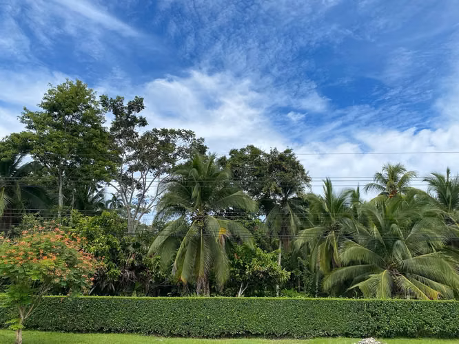 3296 M2 a $  35.58 dls M2, Cahuita a 5 mins de playa , frente a carret.