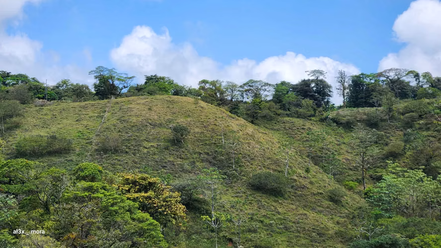 15 Hectáreas con Vista al Lago y Volcán Arenal - Imagen 15