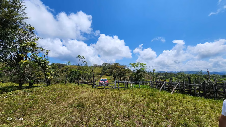 15 Hectáreas con Vista al Lago y Volcán Arenal - Imagen 14