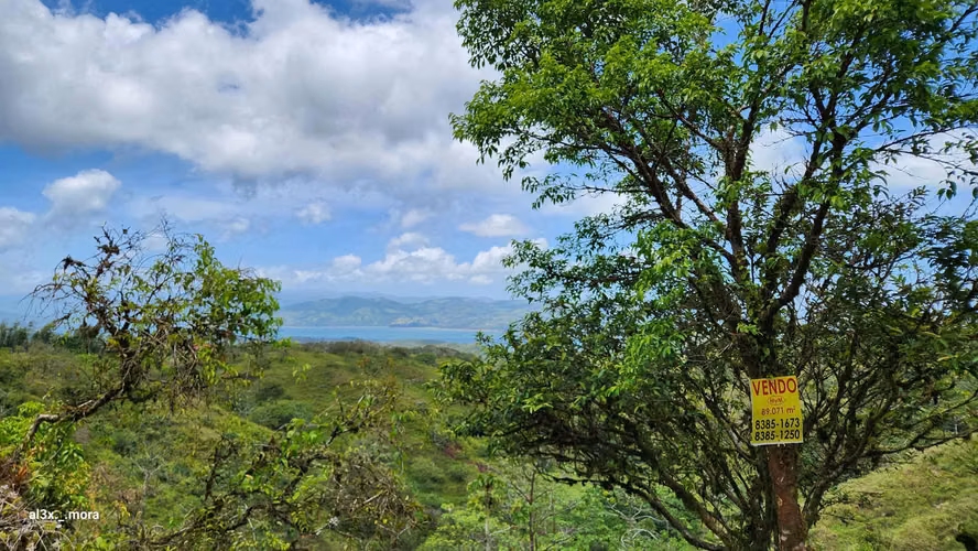 15 Hectáreas con Vista al Lago y Volcán Arenal - Imagen 7