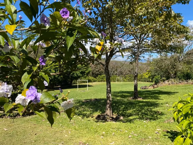 Exclusiva Quinta con Piscina y Amplios Jardines | Ideal para Vivir o Invertir - Imagen 15
