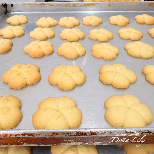 Venta de Empresa de Galletas Artesanales con Recetas Exclusivas