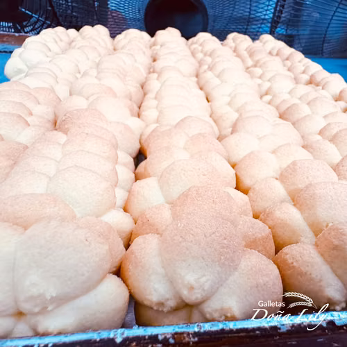 Venta de Empresa de Galletas Artesanales con Recetas Exclusivas