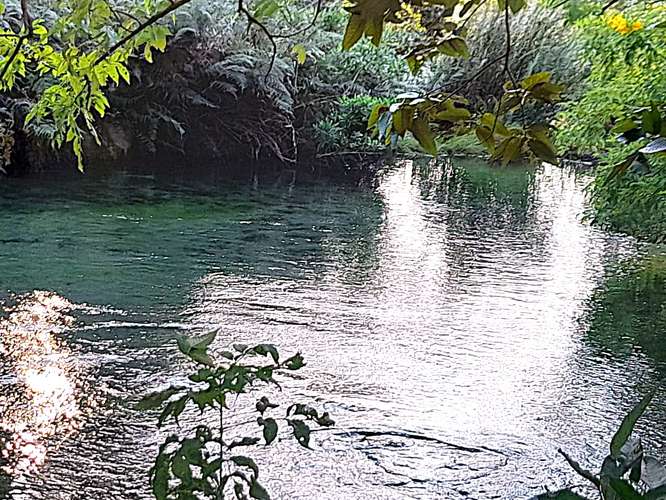 VENTA FINCA GANADERA GUANACASTE GUAYABO CON AGUAS TERMALES - Imagen 19