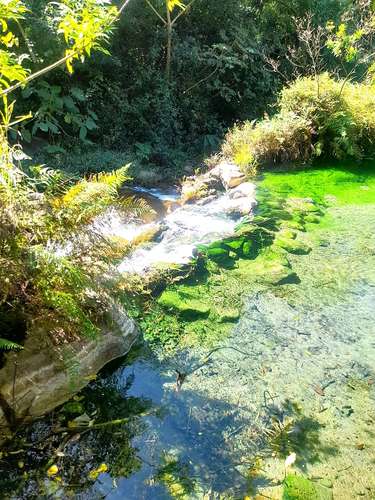 VENTA FINCA GANADERA GUANACASTE GUAYABO CON AGUAS TERMALES - Imagen 20