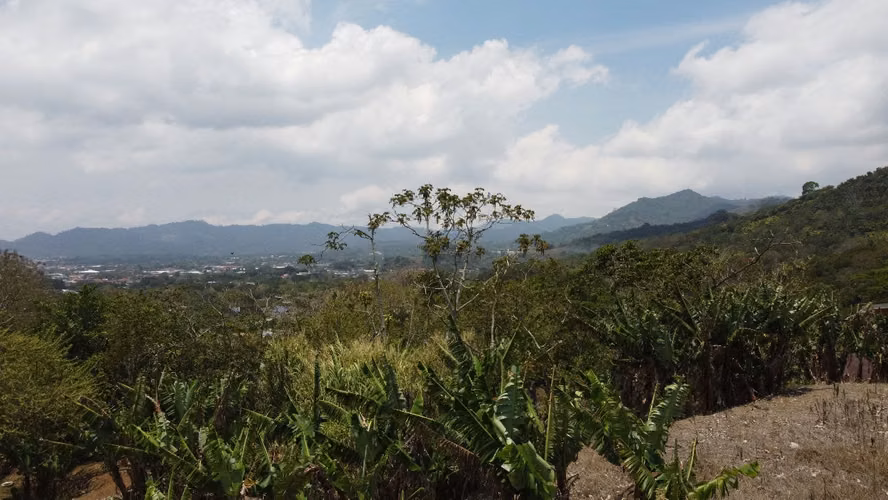 Lote en venta en Palmares de 4,688 m², con casa para restaurar, lindas vistas - Imagen 15