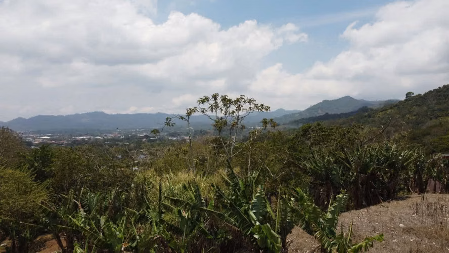 Lote en venta en Palmares de 4,688 m², con casa para restaurar, lindas vistas - Imagen 2