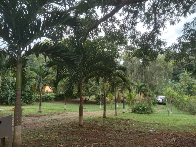 Bella casa en venta en Turrubares con amplio lote