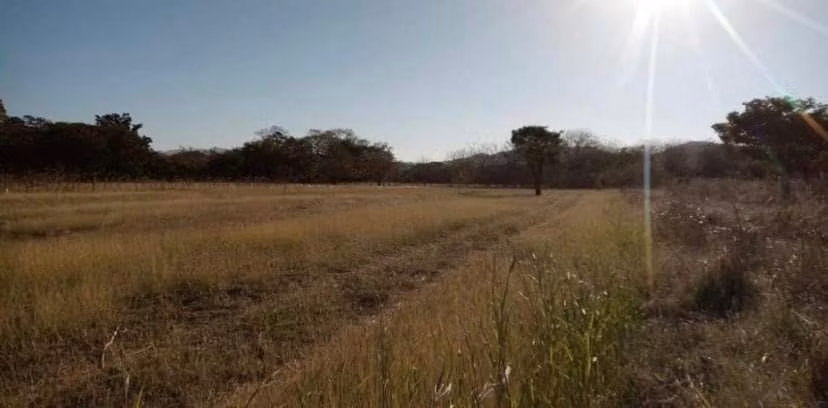Se vende lote en Santa Cruz, Guanacaste - Imagen 7