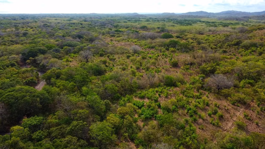 Se Vende Propiedad para Inversión en San José de Pinilla - Imagen 7