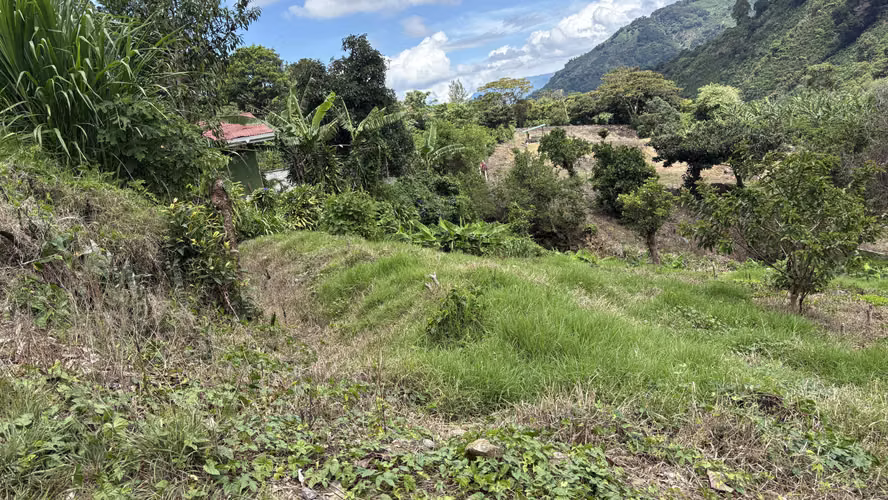 Se vende lote de 622 m² camino a Copey de Dota, con hermosa vista - Imagen 6