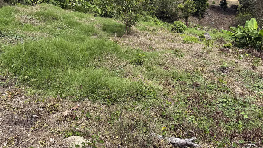 Se vende lote de 622 m² camino a Copey de Dota, con hermosa vista - Imagen 8