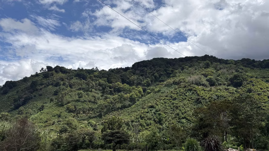 Se vende lote de 622 m² camino a Copey de Dota, con hermosa vista - Imagen 3