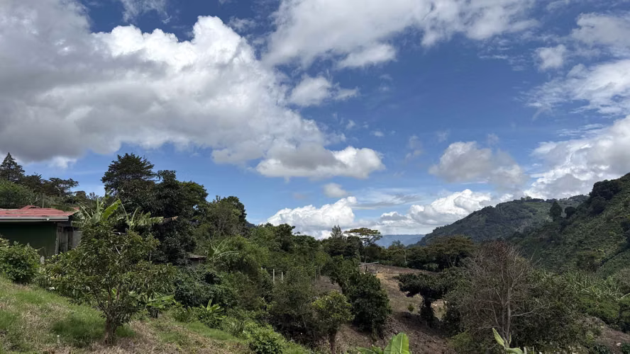 Se vende lote de 622 m² camino a Copey de Dota, con hermosa vista - Imagen 12