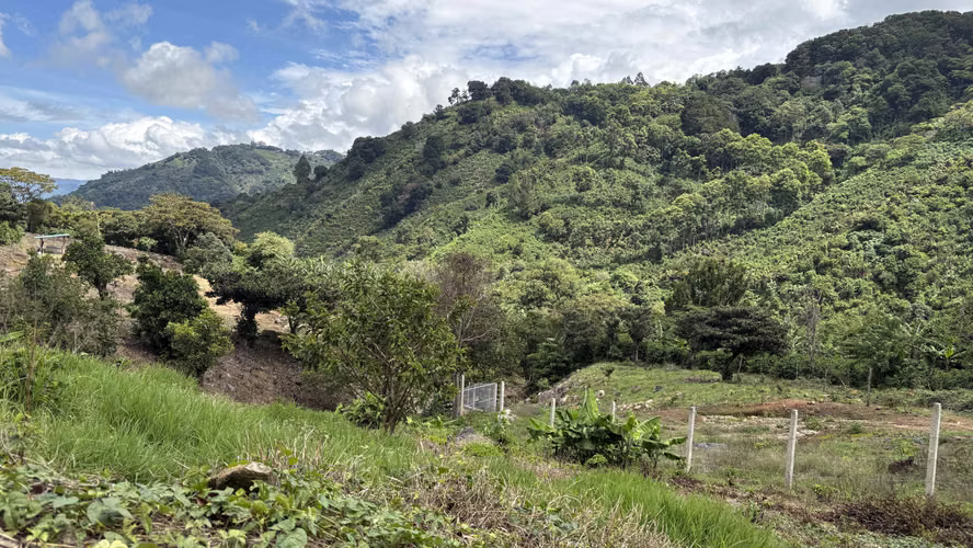 Se vende lote de 622 m² camino a Copey de Dota, con hermosa vista - Imagen 5
