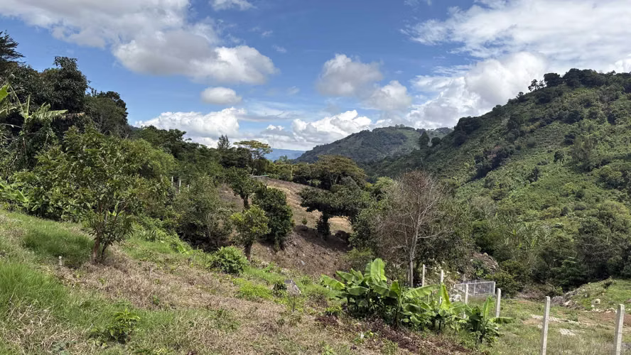 Se vende lote de 622 m² camino a Copey de Dota, con hermosa vista - Imagen 9