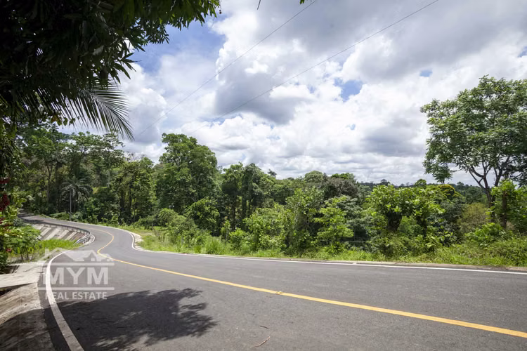 Venta de Finca Limon - Imagen 6