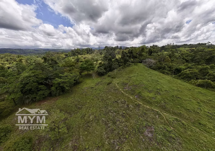 Venta de Finca Limon - Imagen 9