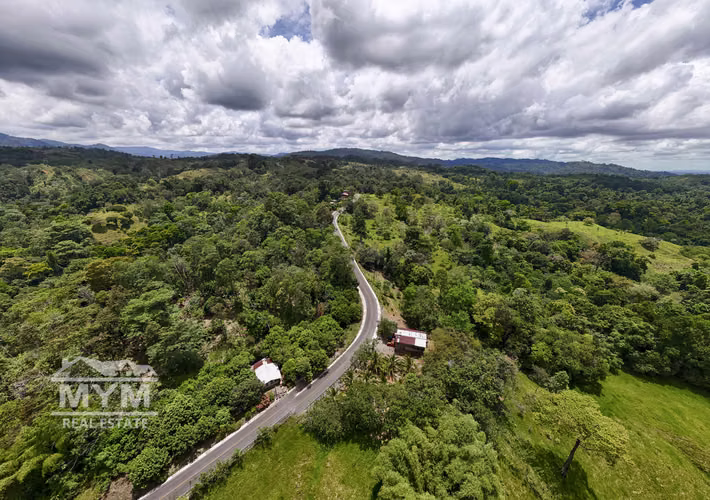 Venta de Finca Limon - Imagen 8