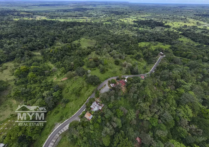 Venta de Finca Limon - Imagen 7