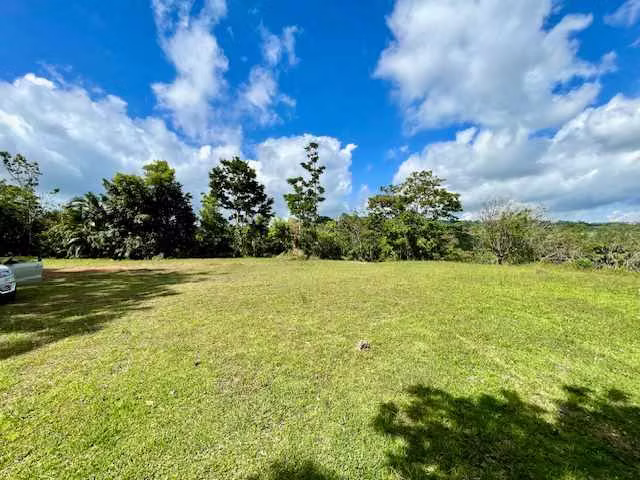 Lote plano en Nuevo Arenal con espectacular vista al lago y al volcán - Imagen 10