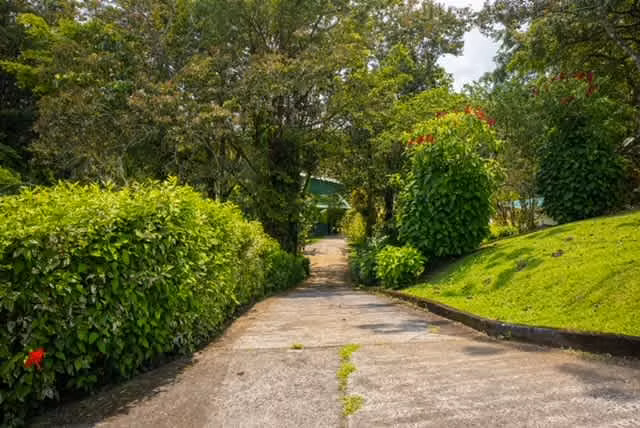 Lote plano en Nuevo Arenal con espectacular vista al lago y al volcán - Imagen 19