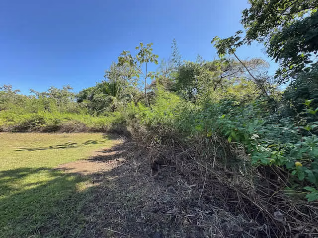 Venta Finca con casaclub y piscina, Orotina para proyecto inmobiliario