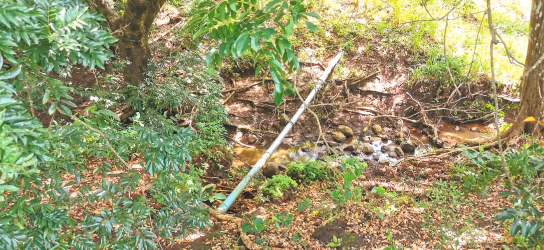 Venta de Finca en Abangares Guanacaste. ABUNDANTE AGUA