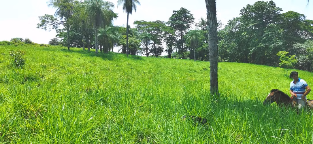 Venta de Finca en Abangares Guanacaste. ABUNDANTE AGUA
